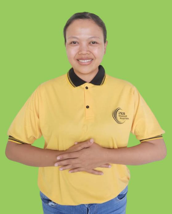 Maid Image